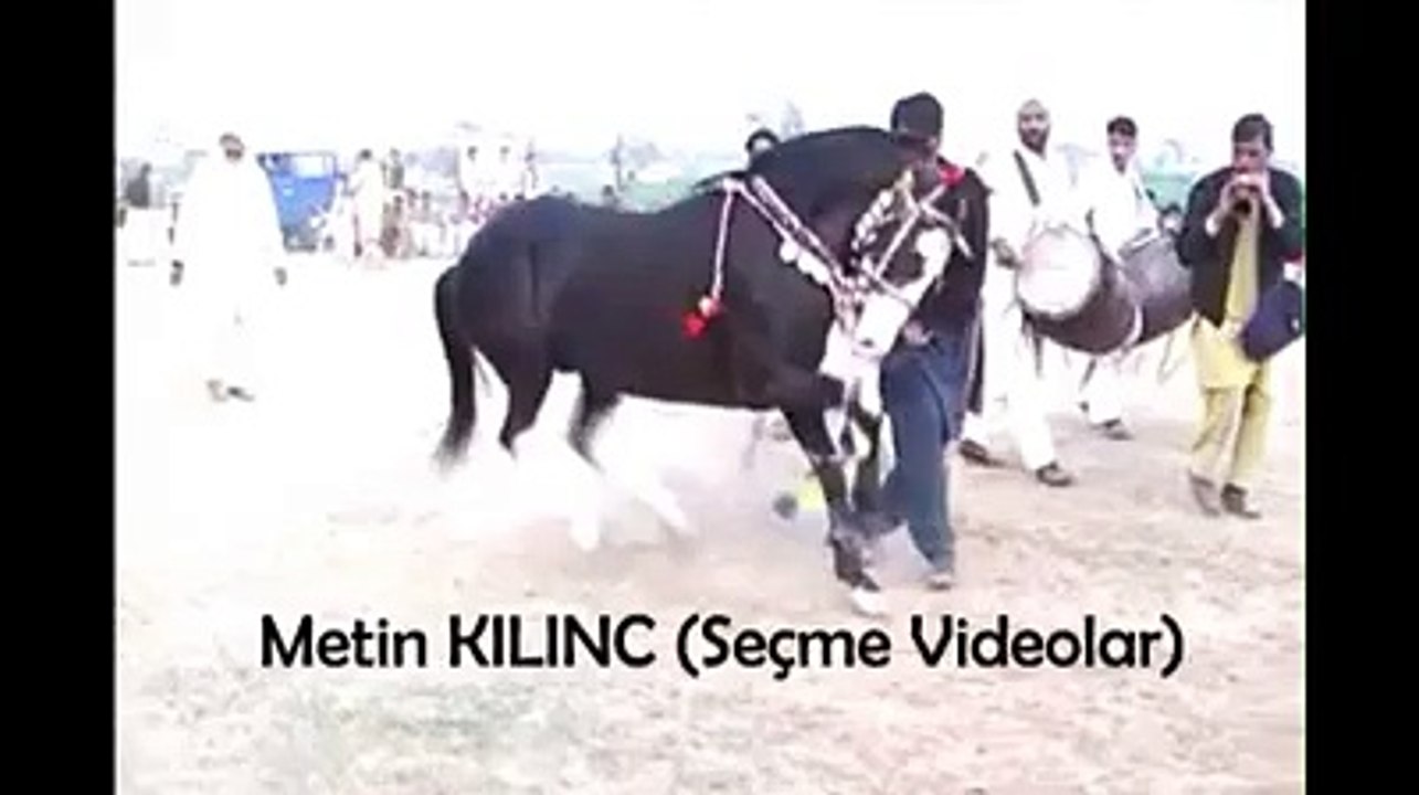 Davul zurnayla oynayan at
