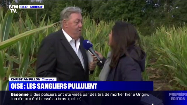Pourquoi les chasseurs indemnisent les agriculteurs dont les cultures sont touchées par les sangliers ?