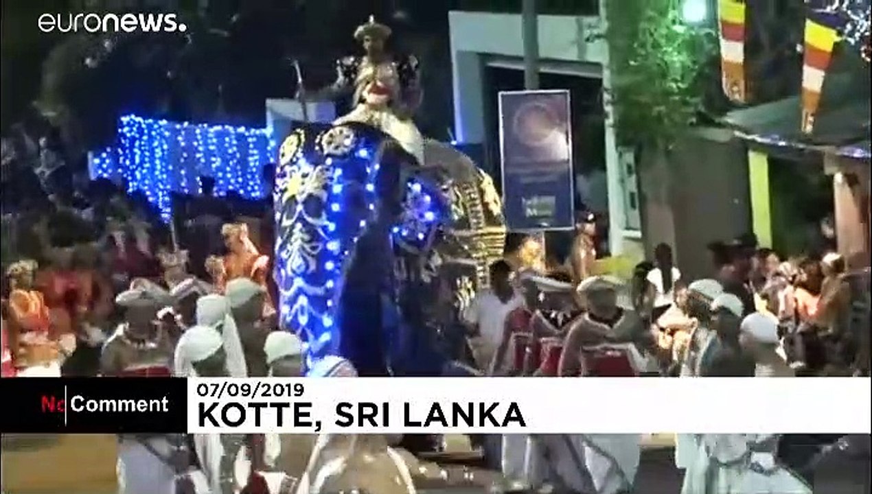 Elephants trample crowd at Sri Lankan pageant, injuring 17
