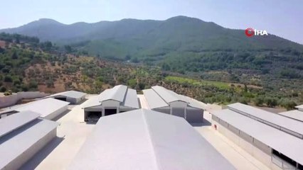 Türkiye'nin en sağlıklı keçi çiftliği İzmir'de kuruldu