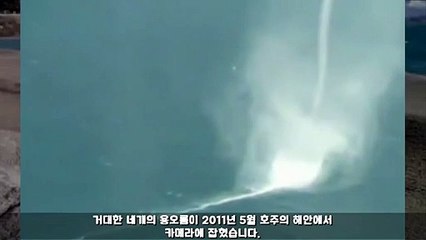 수원출장-공1o.칠65팔.Ol86톡soso1556 전지역30분A끕도착v비타민..4