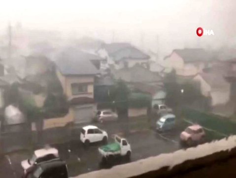 Japonya'yı Faxai Tayfunu vurdu, 930 bin ev elektriksiz kaldı