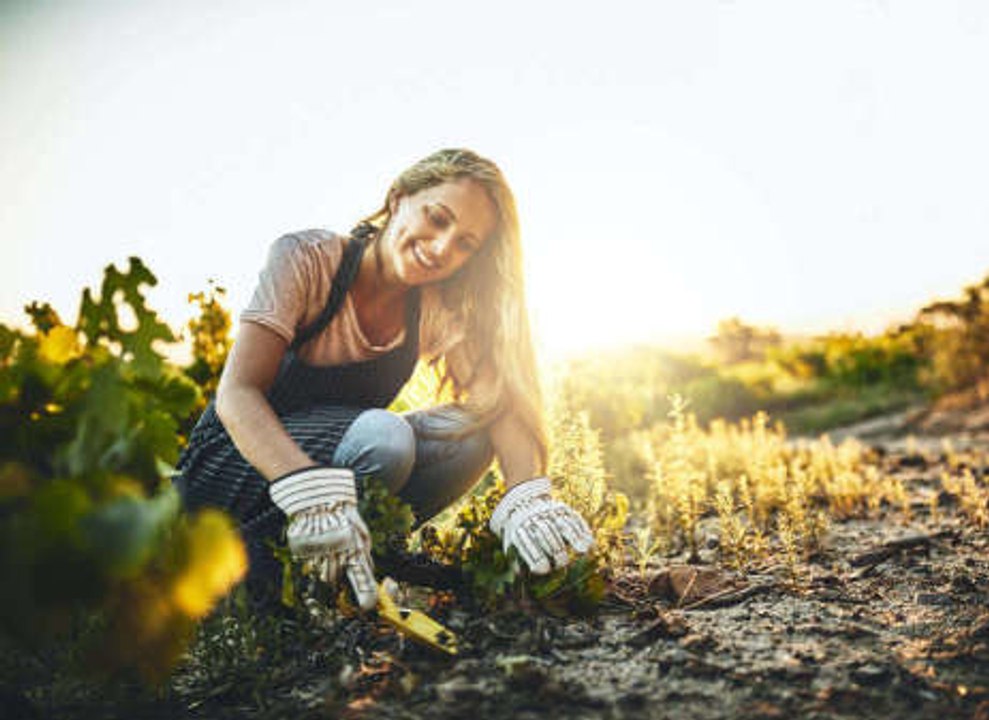 Gartentipps, die deine Nachbarn überraschen werden