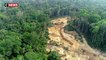 Brésil : la déforestation de l'Amazonie a presque doublé sur un an
