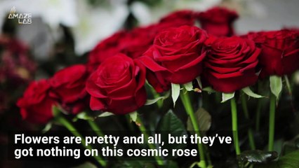 A Galactic Collision Created This Cosmic Rose