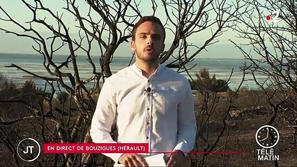 Hérault : des habitations évacuées, 300 hectares de végétation brûlés