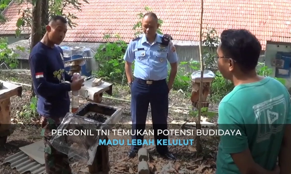 Personil TNI Temukan Potensi Budidaya Madu Lebah Kelulut