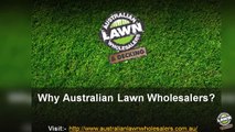 Why Australian Lawn Wholesalers