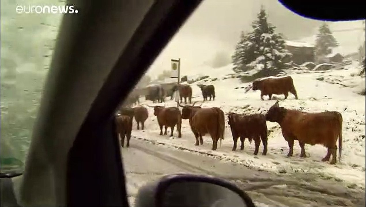 1. Schneefall in den Tiroler Alpen