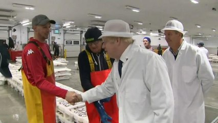 UK PM likely to attempt 'fudge' to get around Brexit extension - former Tory strategist