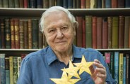 Sir David Attenborough receives lifetime achievement award
