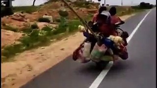 Une famille voyage à 7 avec deux chiens sur une moto !