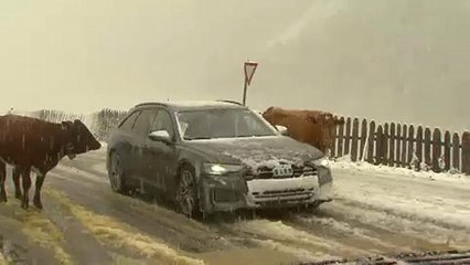 Έπεσε το πρώτο χιόνι στην Αυστρία