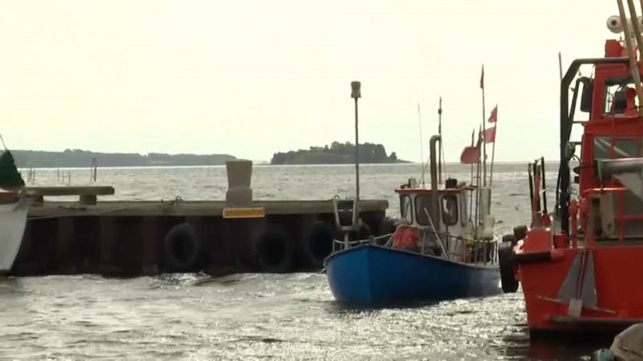 Warum gibt es kaum noch Fische in der Ostsee?