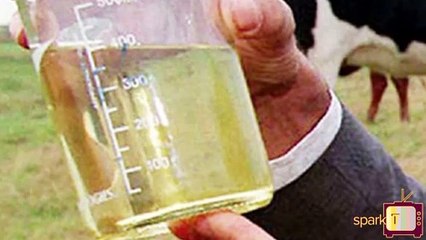 புற்று நோயை குணப்படுத்த மாட்டு கோமியம் - மத்திய அமைச்சர் பேச்சு.!