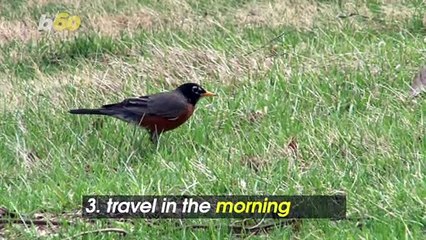 5 Travel Hacks Flight Attendants Swear By