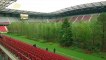 Forest Exhibition Built Inside a Stadium Opens to the Public, a Warning About Mankind’s Impact on Nature