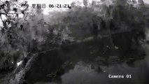 Dozens of fish leap out of pond moments before earthquake hits southern China