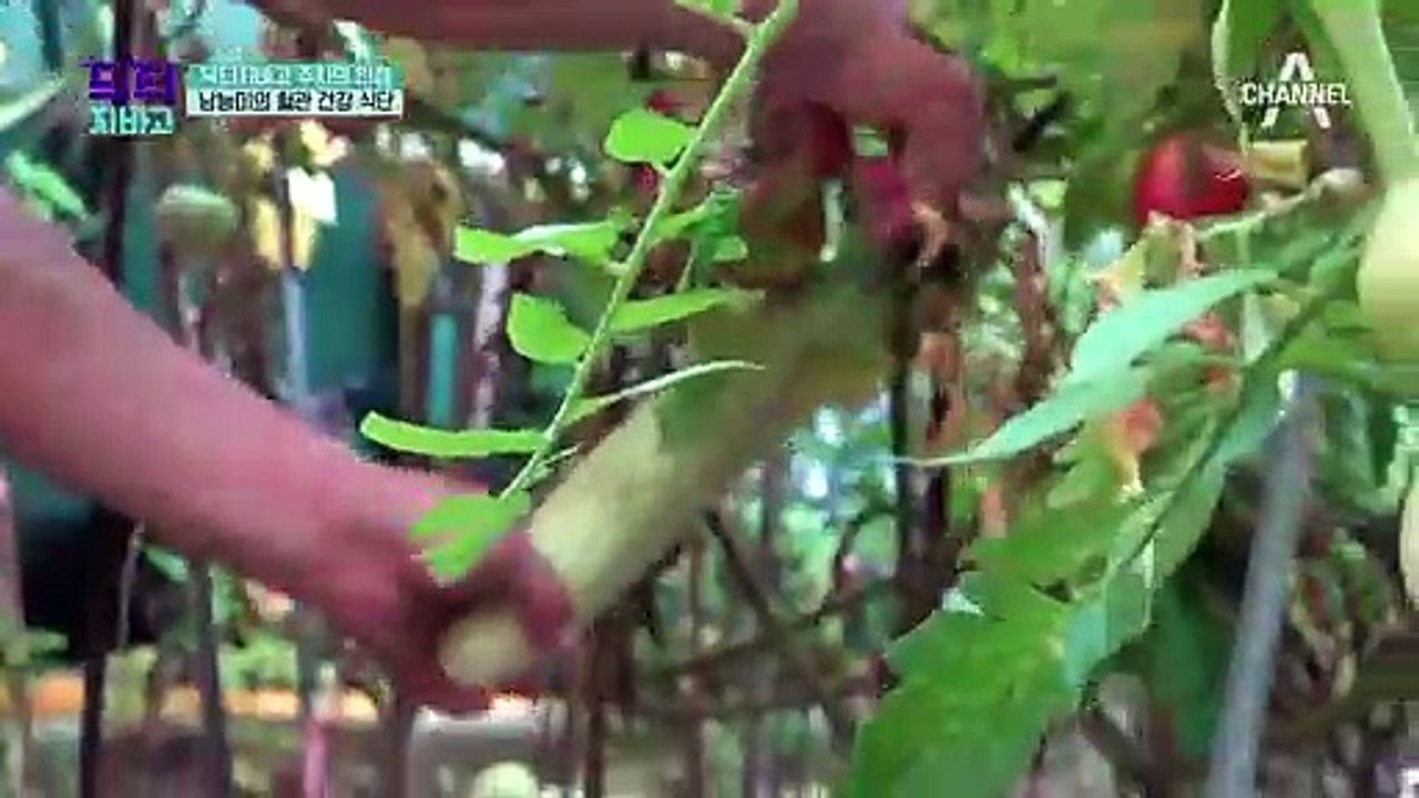 영양제도 안 먹는다는 *남능미표 건강 식단 공개!*