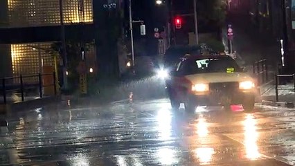 Dos muertos y decenas de heridos en Tokio tras paso de tifón