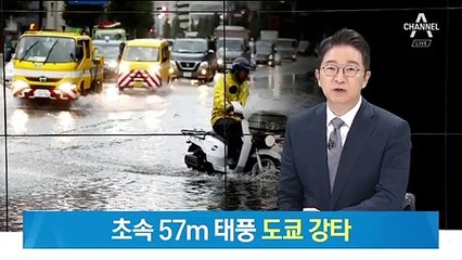 “사람이 날아갔다”…태풍 파사이 덮친 日 수도권 ‘쑥대밭’