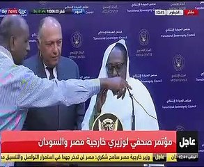 وزير الخارجية: مصر لن تدخر جهدا فى استمرار التواصل مع السودان