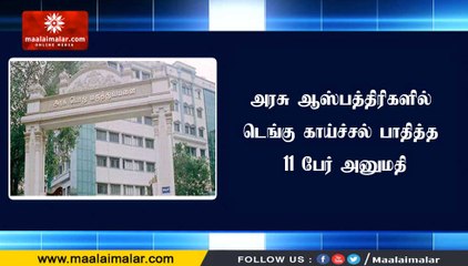 அரசு ஆஸ்பத்திரிகளில் டெங்கு காய்ச்சல் பாதித்த 11 பேர் அனுமதி
