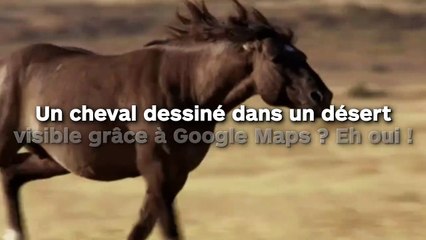 Un cheval dessiné dans un désert visible grâce à Google Maps ? Eh oui !