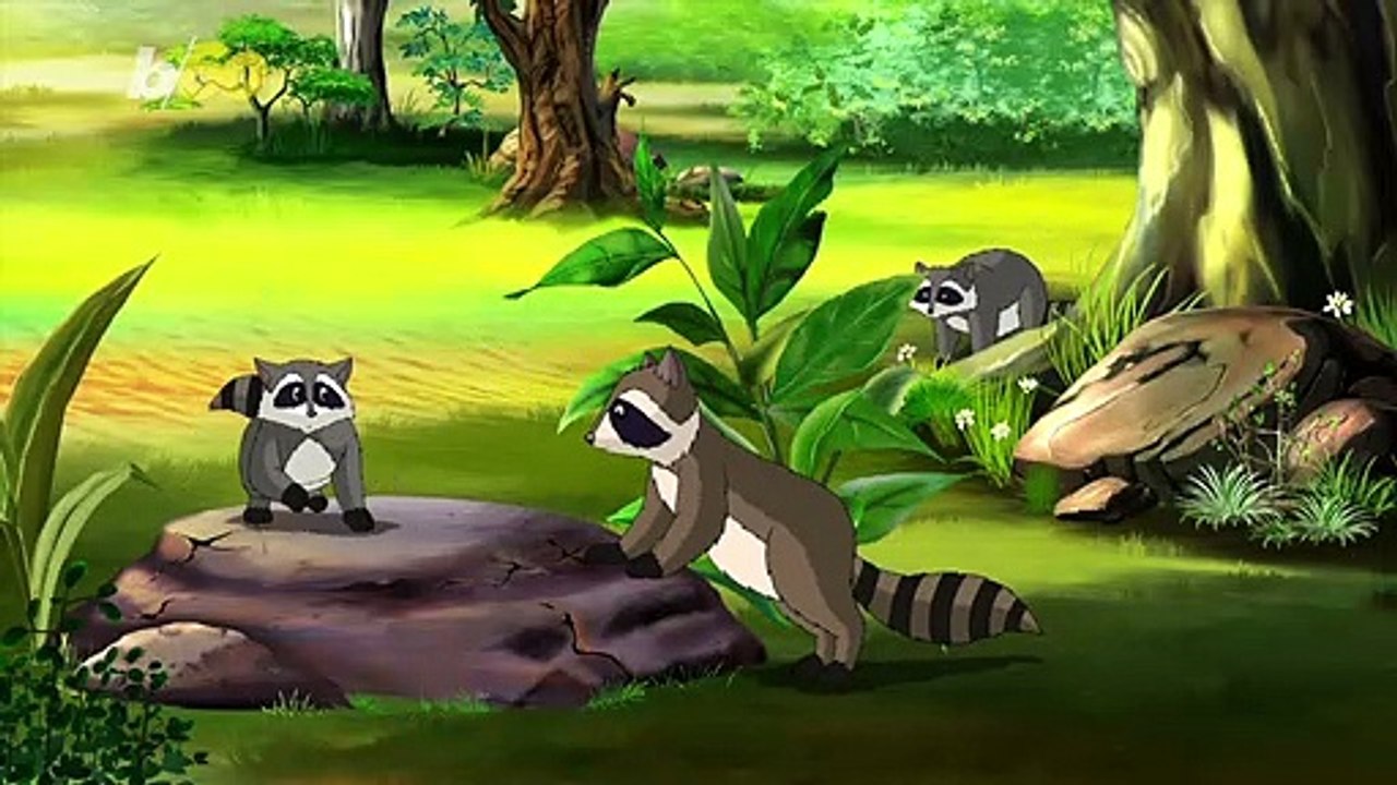Family Takes in 12 Abandoned, Pet Raccoons With Plans for a “Raccoon Park”
