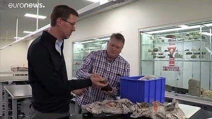 Riesiger, schwimmender Bimsstein kann Great Barrier Reef retten