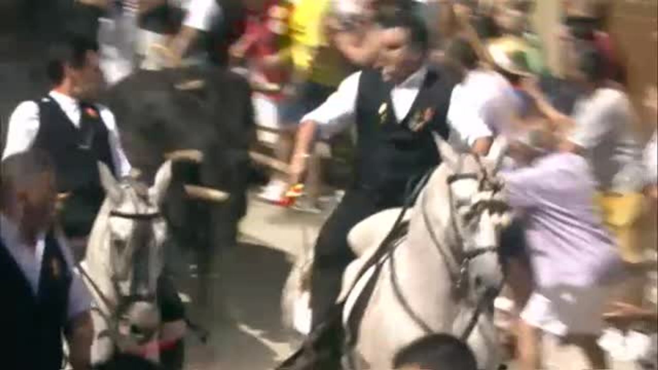 Susto en la primera entrada de toros y caballos en las fiestas de Segorbe