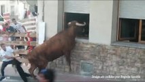 Un toro intenta entrar a una vivienda por la ventana en Milagro (Navarra)