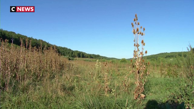 Sivens : 4 ans après la mort de Rémi Fraisse, la vallée du Tescou attend toujours son barrage