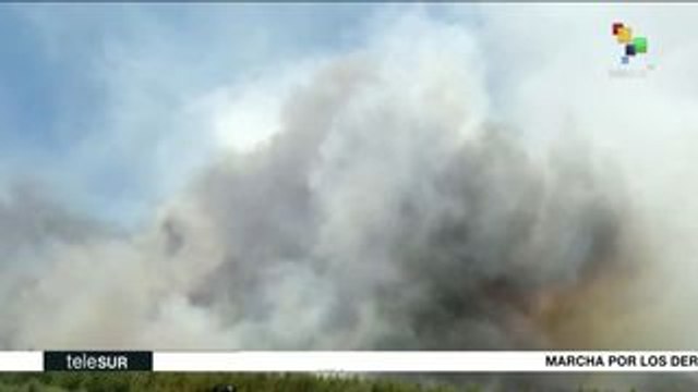 teleSUR Noticias: Gob mexicano entrega paquete económico para 2020