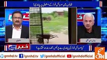 Why Usman Buzdar Wrote 100 Letters To Shehbaz Sharif ? Listen Arif Hameed Bhatti