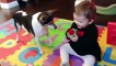 Funny Babies and Naughty Dogs are Best Friends  - Fun and Fails Baby Video