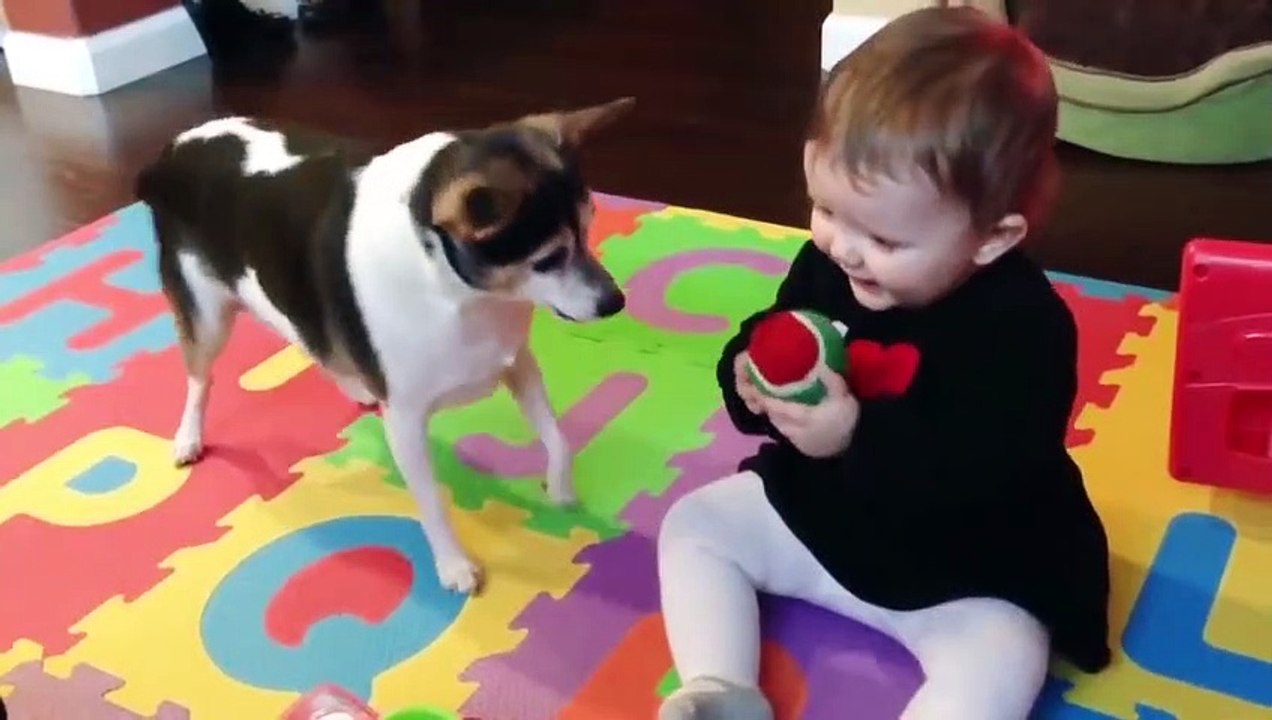 Funny Babies and Naughty Dogs are Best Friends  - Fun and Fails Baby Video