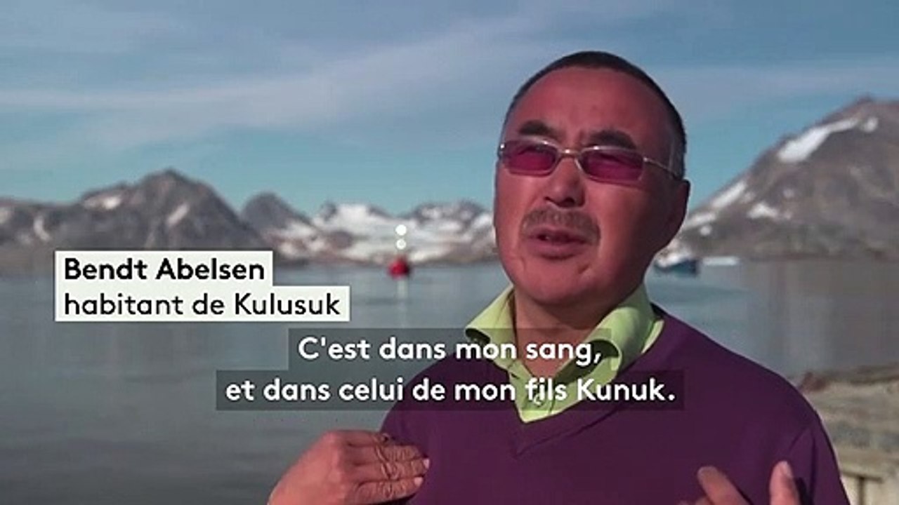 Groenland : les chiens de traîneau menacés par le réchauffement climatique