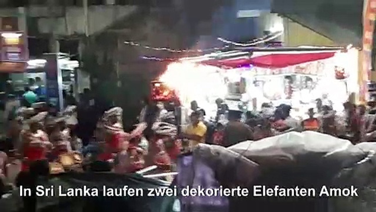 Aufgeregte Elefanten laufen Amok in Sri Lanka