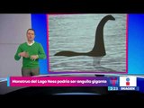 Científicos afirman que el Monstruo del Lago Ness podría ser anguila gigante | Yuriria Sierra