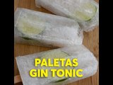 Paletas de Gin Tonic | Chilantojos