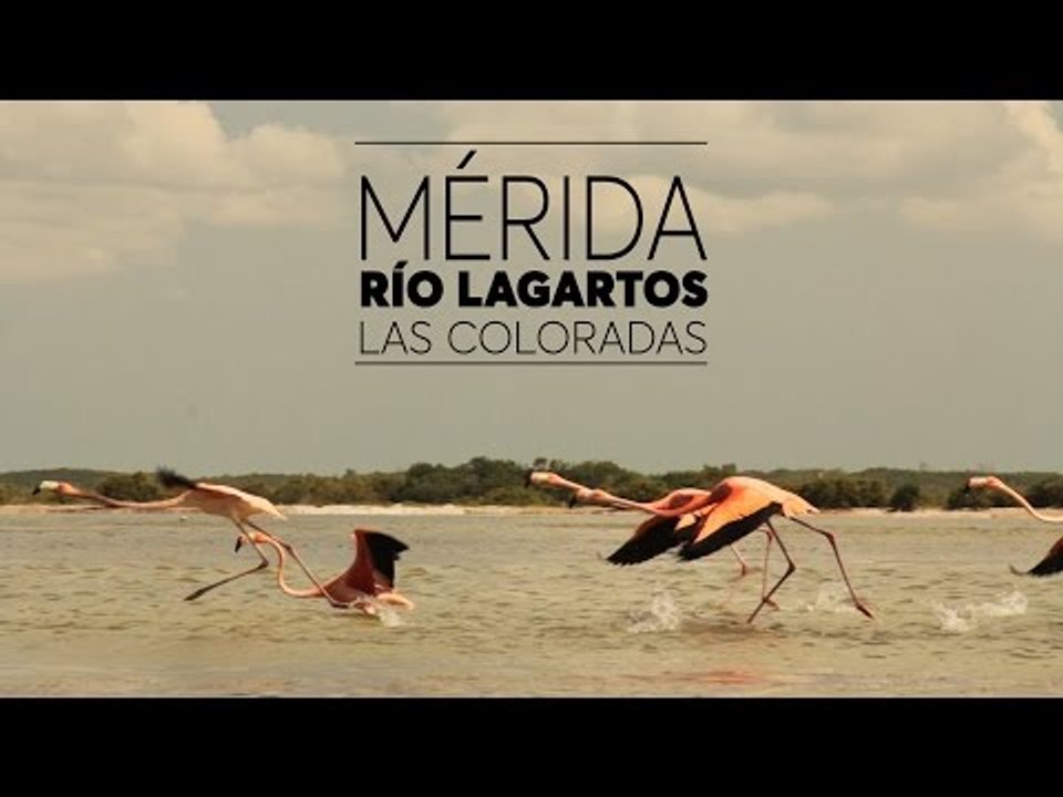 Río Lagartos #DeViaje
