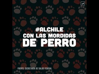 Mordidas de perro #AlChile