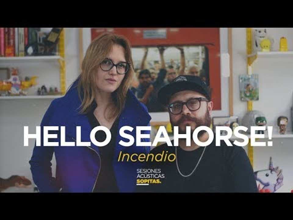 Hello Seahorse! en las Sesiones Acústicas de Sopitas