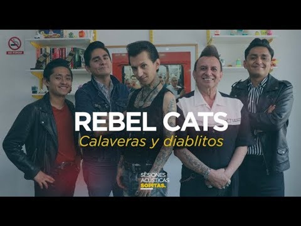 Rebel Cats - Sesión Acústica 'Calaveras y Diablitos'