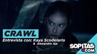 'Crawl' - un homenaje a 'Jaws' y una buena película de suspenso