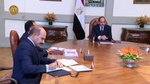 السيسى يوجه بتلبية احتياجات كل فئات رواد الأعمال من الشباب
