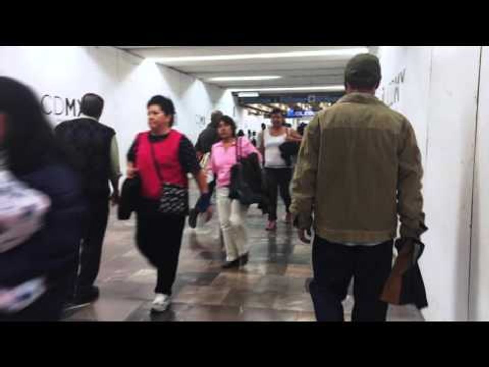 COMERCIO EN EL METRO DF (STC)