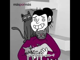 ¿Por qué sigues soltero?