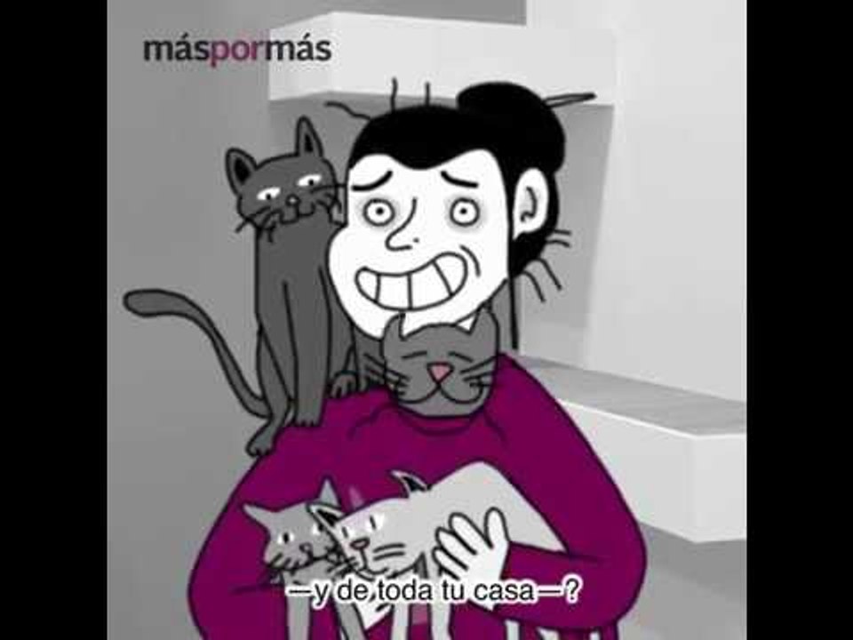 ¿Por qué sigues soltero?